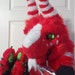 ZurryPaws