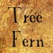 TreeFern