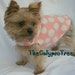 Buyer Avatar