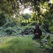 hannahrae7 avatar