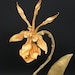 Buyer Avatar