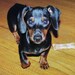 Buyer Avatar