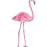 PinkFlamingoEphemera