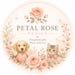 petalrosedesignco
