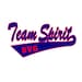 TeamSpiritSVG