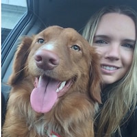 WalkintheBark