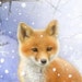 Buyer Avatar