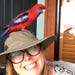 TrueNorthBirding