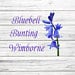 BluebellBunting