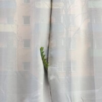 patternthao