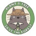 Buyer Avatar