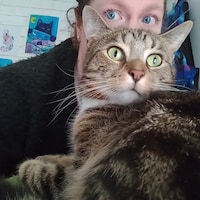 Littlecatdraw