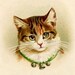 Ruth avatar