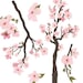 Cherryblossoms Antiques
