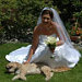 Dayna Martin-Roumanis avatar