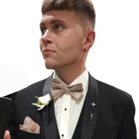 thegildedphenix