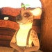 Buyer Avatar