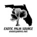 ExoticPalmSource