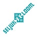 Seljuk Loom avatar