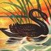 SwanGiftsAndPrints