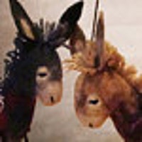 TwoSadDonkeys