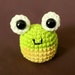 FiberFrogs