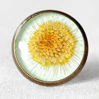 TinyIceFlower