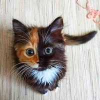 BridesmaidGifted
