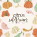 CitrusWildflowers