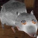 Buyer Avatar
