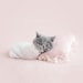 NewbornDigitalShop