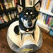 TanksPlacePetGoods