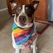 Arfscarvesandmore