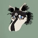 Buyer Avatar