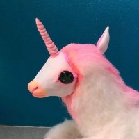 SpellsandSparkle