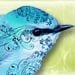 Donna Dorman avatar