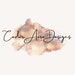 CedarAcresDesigns