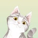 Buyer Avatar