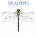 MaukaHawaii
