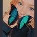 Anna Willert