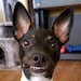 Jacki