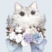 Buyer Avatar