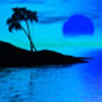 ParadiseDaily
