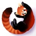 Buyer Avatar