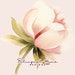 BilingualHomeDesigns