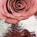 rosehipandrain