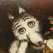 wolfonline