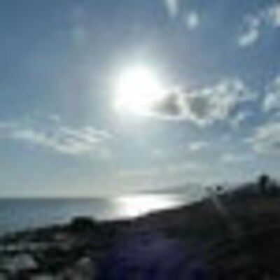Gerri's profile picture