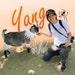 yang an