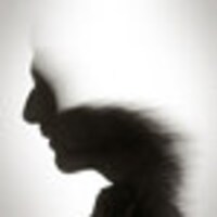 DancingBugPhotos